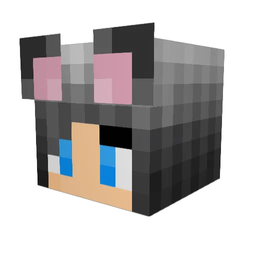 Ziiiiiii Minecraft avatar head, 3D render
