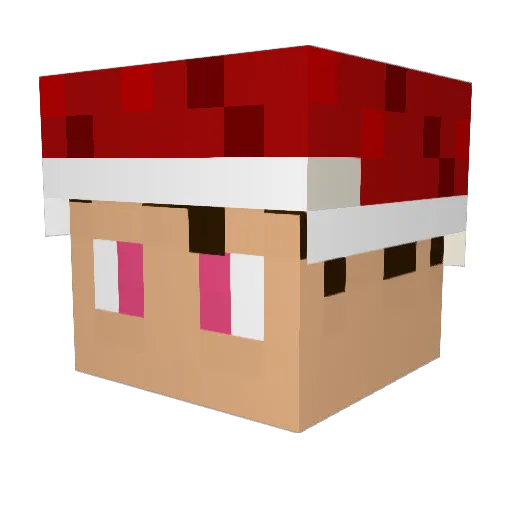 ZiiimZooon Minecraft avatar head, 3D render