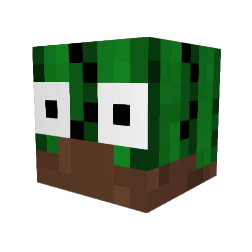 Ziitan Minecraft avatar head, 3D render