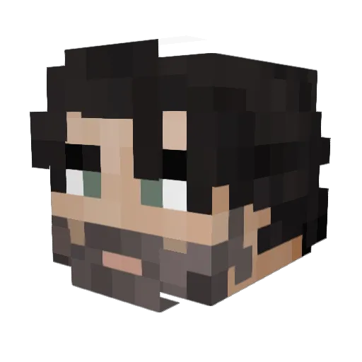 Zijstraat Minecraft avatar head, 3D render