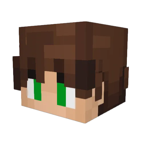 Zikonn Minecraft avatar head, 3D render