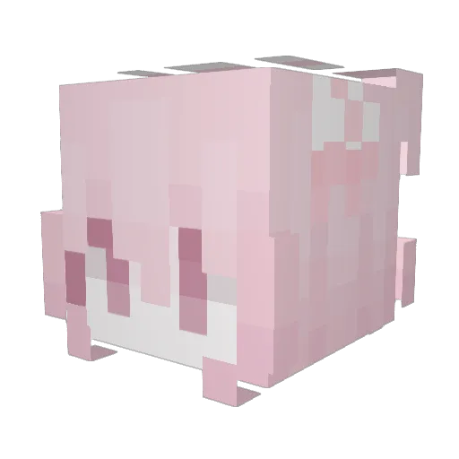 Ziktz Minecraft avatar head, 3D render
