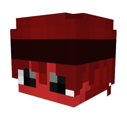 ZilemAsli Minecraft avatar head, 3D render