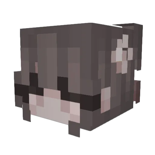 Zilkcz Minecraft avatar head, 3D render