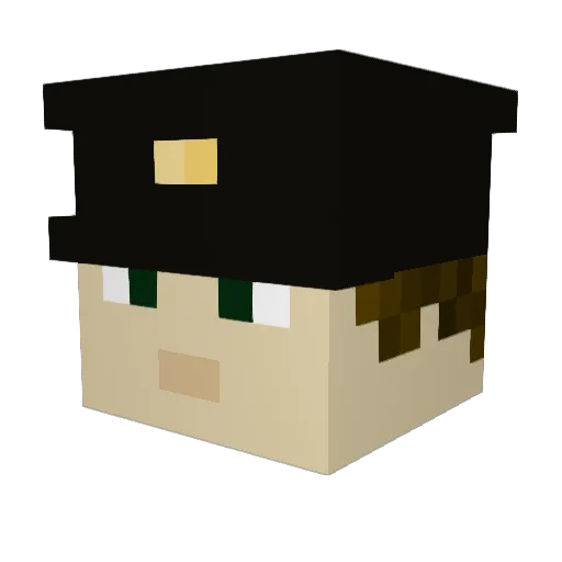 Zille_11 Minecraft avatar head, 3D render