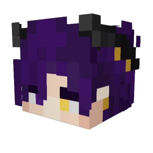 Zilyann00 Minecraft avatar head, 3D render