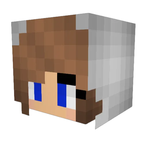 Zim888 Minecraft avatar head, 3D render