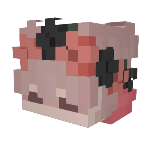 Zimble9 Minecraft avatar head, 3D render