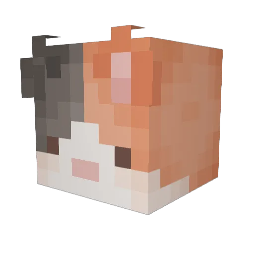 Zimin2 Minecraft avatar head, 3D render