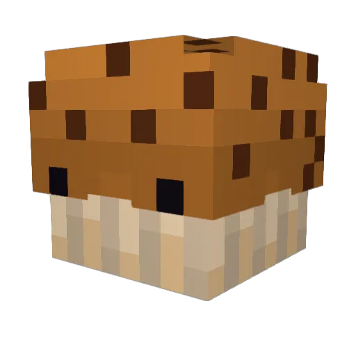 Zimm1700 Minecraft avatar head, 3D render