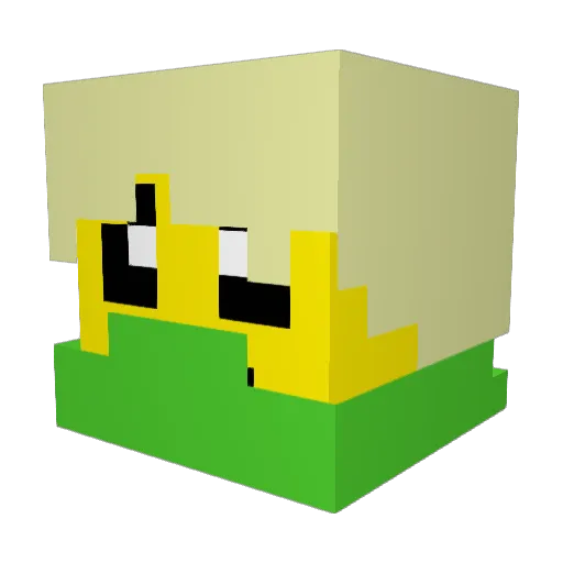 Zimmerdragon Minecraft avatar head, 3D render