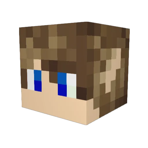 Zimmerlu13 Minecraft avatar head, 3D render