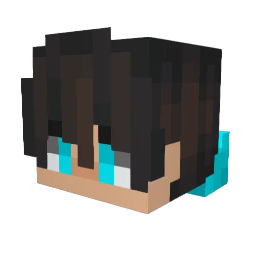 ZimnyKodi Minecraft avatar head, 3D render