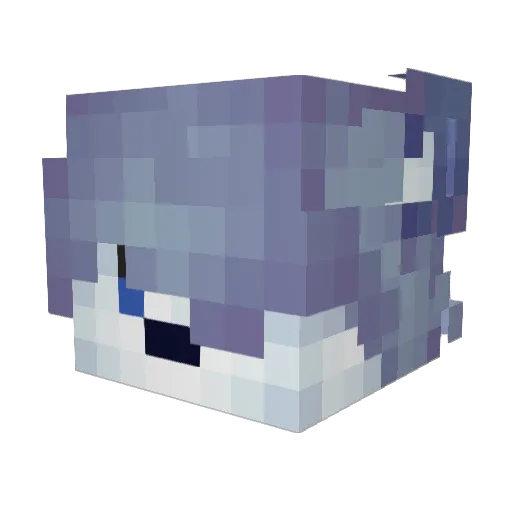 Zimper Minecraft avatar head, 3D render
