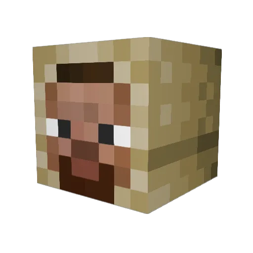 Zimthehacker Minecraft avatar head, 3D render