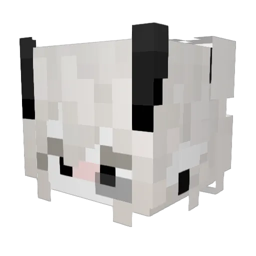 Zimveil Minecraft avatar head, 3D render
