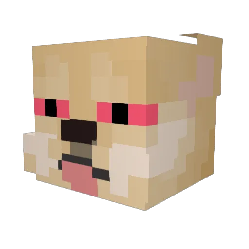 Zina_pop Minecraft avatar head, 3D render