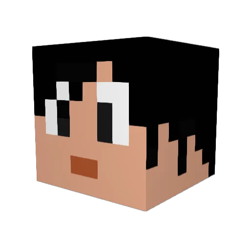 Zinc_111 Minecraft avatar head, 3D render