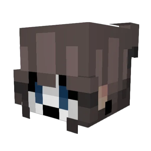 Zinc___ Minecraft avatar head, 3D render