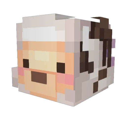 Zinckick Minecraft avatar head, 3D render