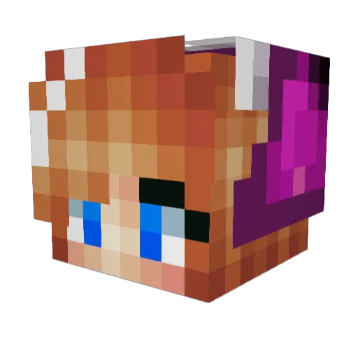 ZingPingZ Minecraft avatar head, 3D render