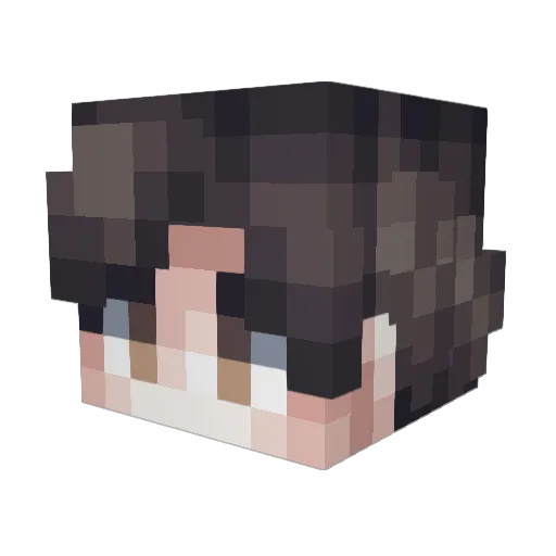 ZingYoung Minecraft avatar head, 3D render