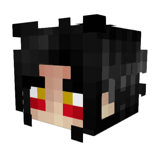 Zingmeister Minecraft avatar head, 3D render