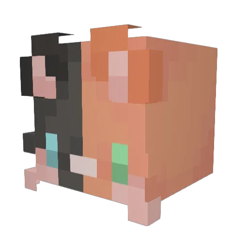 ZiniFocus Minecraft avatar head, 3D render