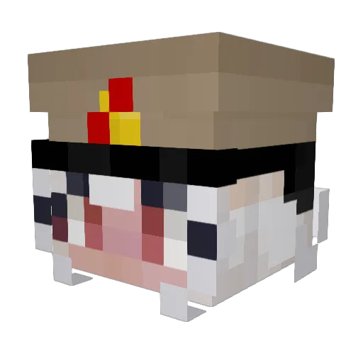 Minecraft-Avatar von Zinnmo_: Kopf als 3D-Render