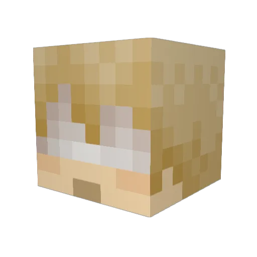 Zinogressive Minecraft avatar head, 3D render