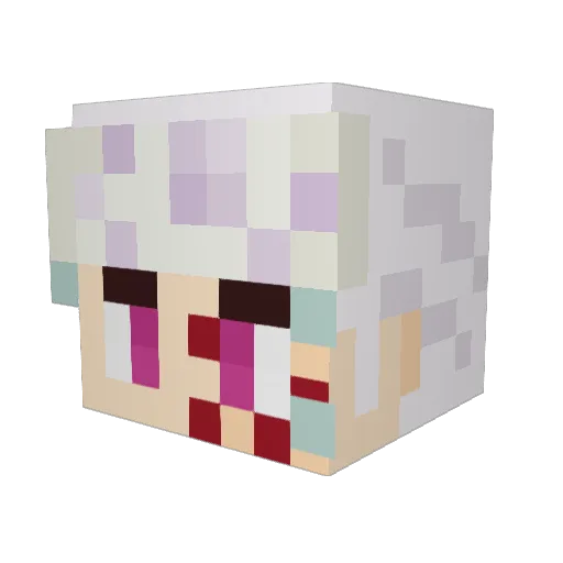 Zinopsis Minecraft avatar head, 3D render