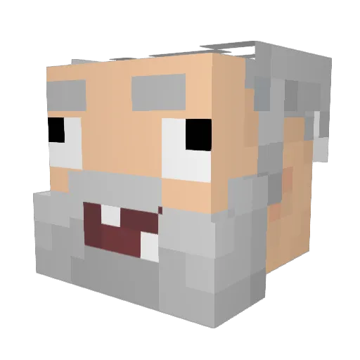 Zinopus Minecraft avatar head, 3D render