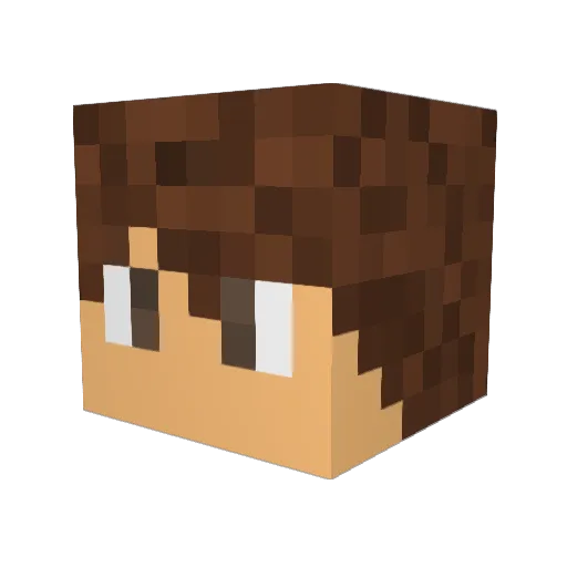 Zinvek Minecraft avatar head, 3D render
