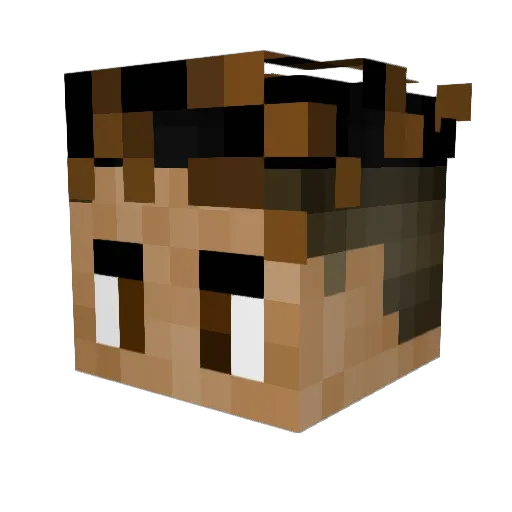 Ziomalek2_0 Minecraft avatar head, 3D render