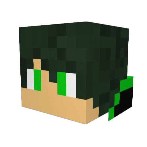 Ziomerek Minecraft avatar head, 3D render