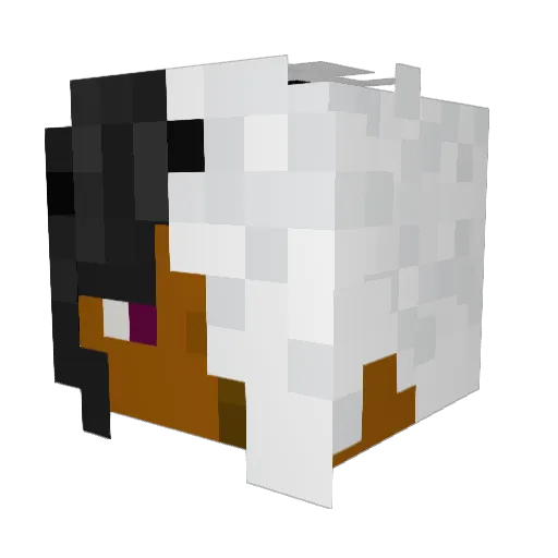 ZionBV Minecraft avatar head, 3D render