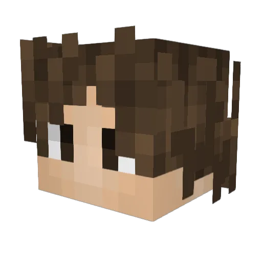 Zion_17 Minecraft avatar head, 3D render