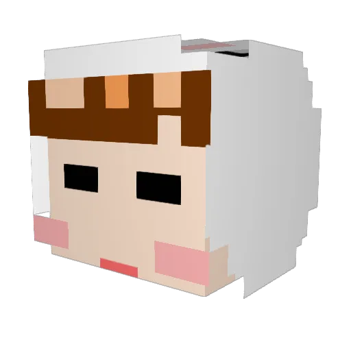 Zioso Minecraft avatar head, 3D render