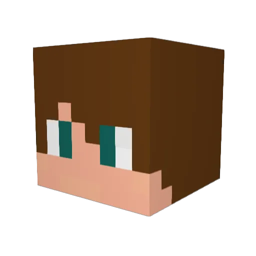 Ziost18 Minecraft avatar head, 3D render