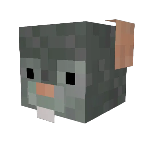 Zip108 Minecraft avatar head, 3D render