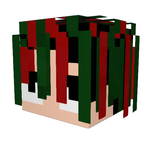 ZipDen288 Minecraft avatar head, 3D render