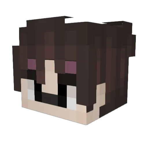 ZipZap Minecraft avatar head, 3D render