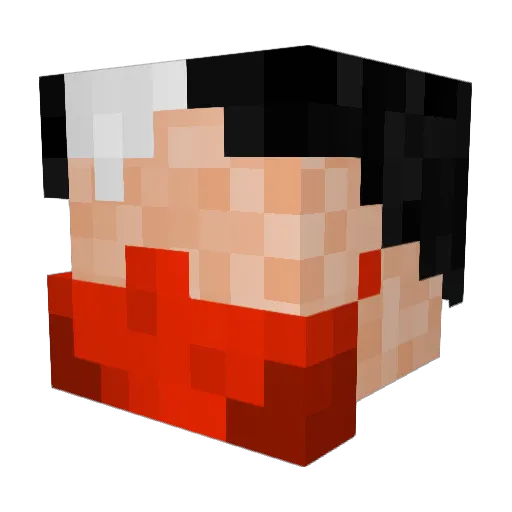 ZipZip2012 Minecraft avatar head, 3D render