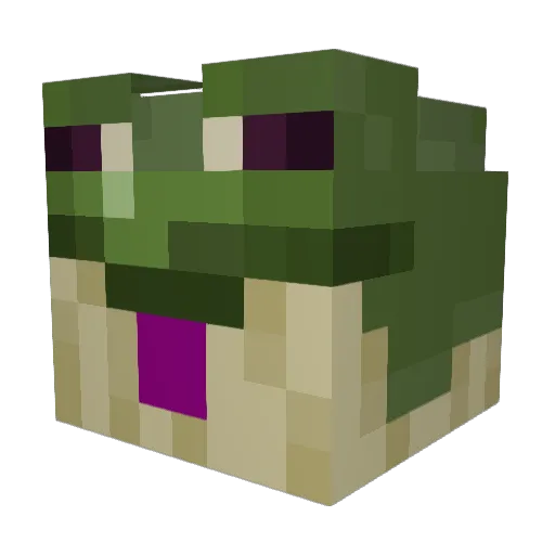 Zipfelkobold212 Minecraft avatar head, 3D render