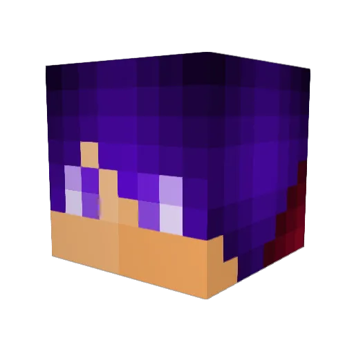 Zipher27 Minecraft avatar head, 3D render