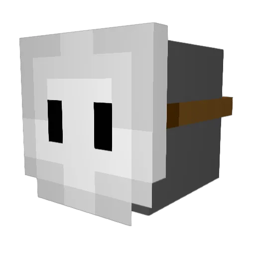 Ziphiynas Minecraft avatar head, 3D render