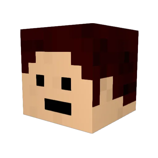 Ziplock Minecraft avatar head, 3D render