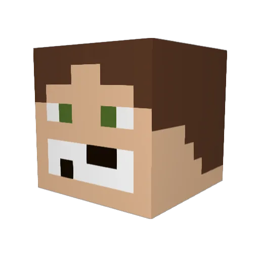 Zipp0 Minecraft avatar head, 3D render