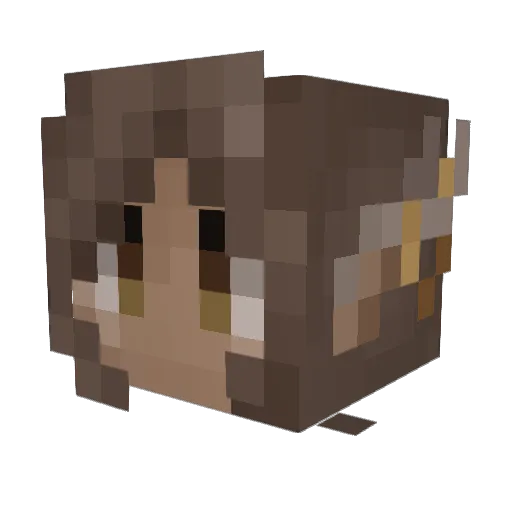 ZipperrrVA Minecraft avatar head, 3D render