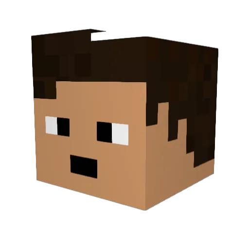 ZippiestOrc84 Minecraft avatar head, 3D render